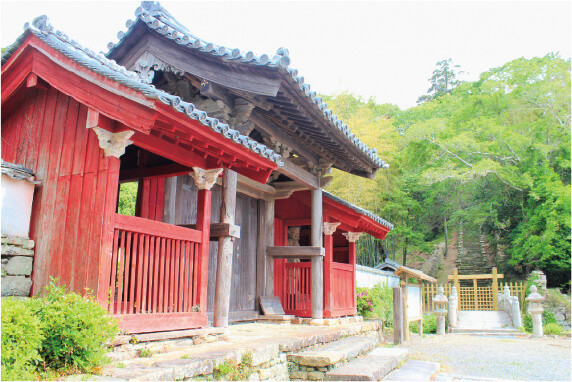 対馬でレンタカー