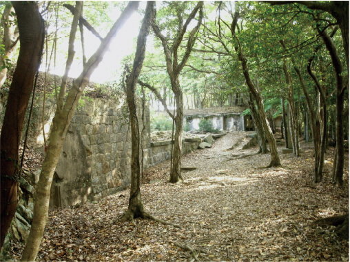 対馬でレンタカー