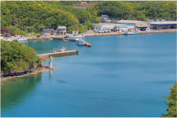 対馬でレンタカー