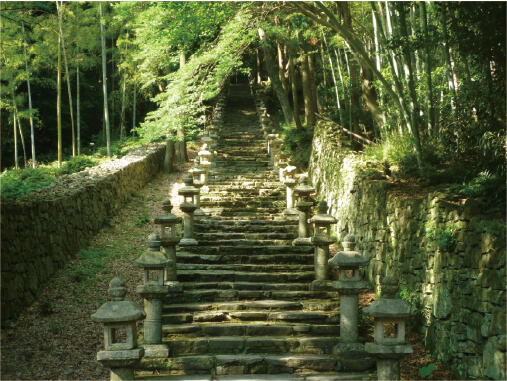 対馬でレンタカー