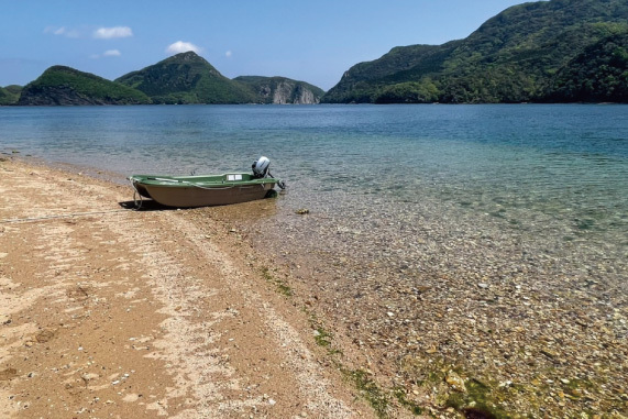 対馬でレンタカー